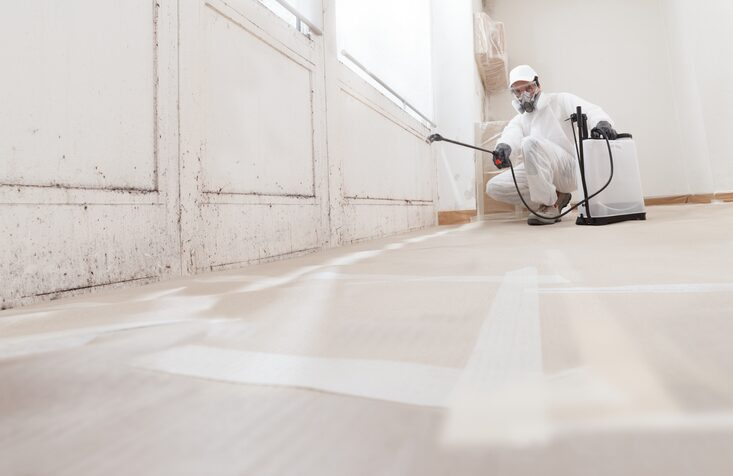 Technicien en combinaison de protection traitant des moisissures
